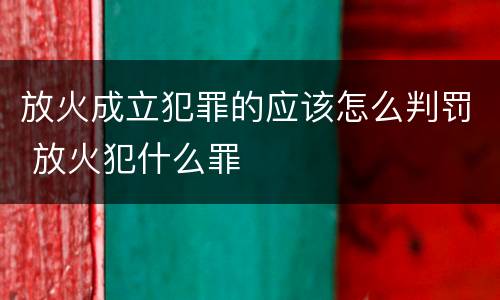 放火成立犯罪的应该怎么判罚 放火犯什么罪