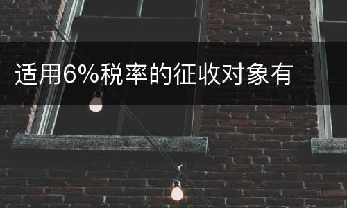 适用6%税率的征收对象有