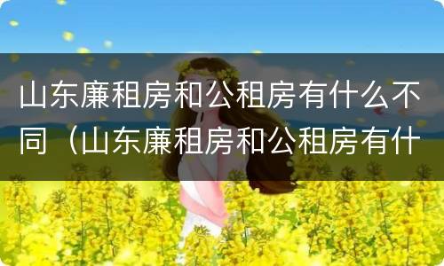 山东廉租房和公租房有什么不同（山东廉租房和公租房有什么不同吗）