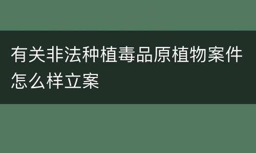 有关非法种植毒品原植物案件怎么样立案