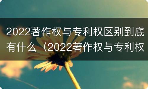 2022著作权与专利权区别到底有什么（2022著作权与专利权区别到底有什么不同）