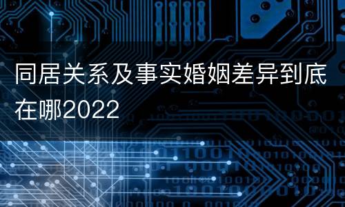 同居关系及事实婚姻差异到底在哪2022