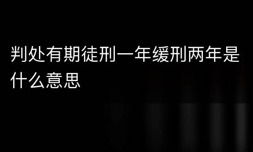 判处有期徒刑一年缓刑两年是什么意思