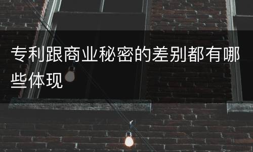 专利跟商业秘密的差别都有哪些体现