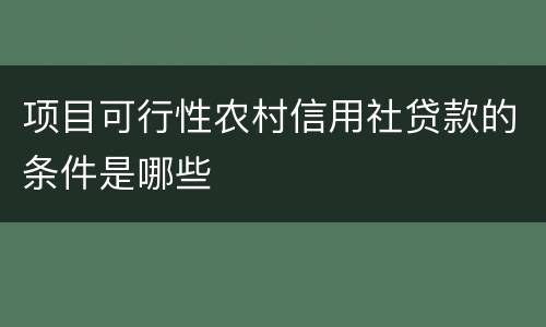 项目可行性农村信用社贷款的条件是哪些