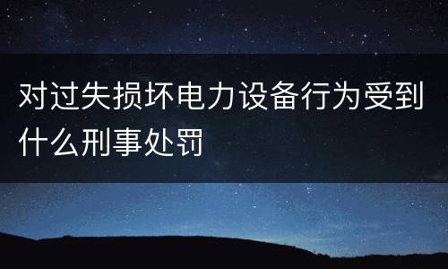 对过失损坏电力设备行为受到什么刑事处罚