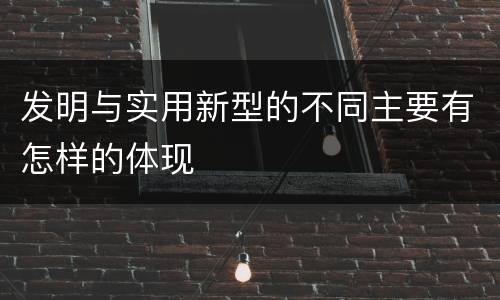 发明与实用新型的不同主要有怎样的体现