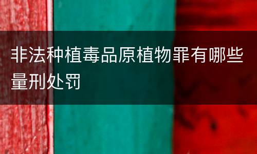 非法种植毒品原植物罪有哪些量刑处罚