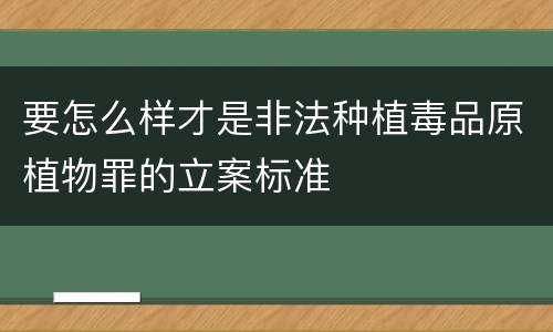 要怎么样才是非法种植毒品原植物罪的立案标准