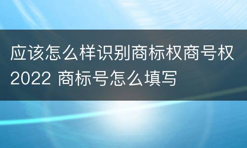 应该怎么样识别商标权商号权2022 商标号怎么填写