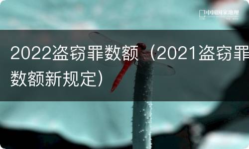 2022盗窃罪数额（2021盗窃罪数额新规定）