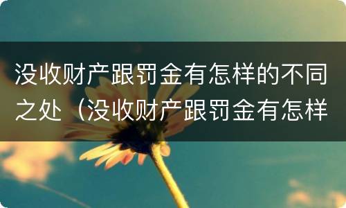 没收财产跟罚金有怎样的不同之处（没收财产跟罚金有怎样的不同之处呢）