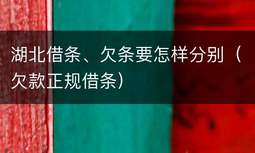 湖北借条、欠条要怎样分别（欠款正规借条）