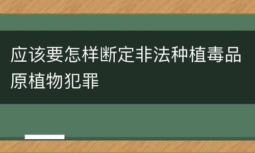 应该要怎样断定非法种植毒品原植物犯罪