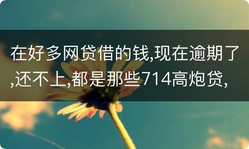 在好多网贷借的钱,现在逾期了,还不上,都是那些714高炮贷,征信上也没有