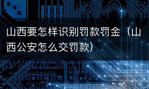 山西要怎样识别罚款罚金（山西公安怎么交罚款）