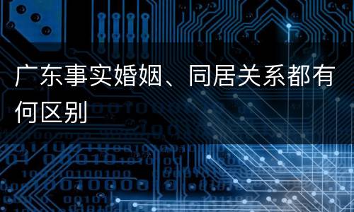 广东事实婚姻、同居关系都有何区别