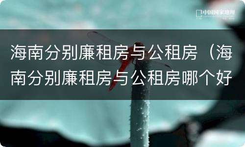 海南分别廉租房与公租房（海南分别廉租房与公租房哪个好）