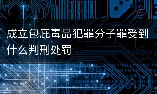 成立包庇毒品犯罪分子罪受到什么判刑处罚