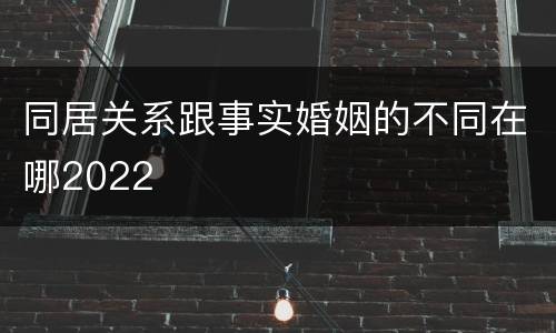 同居关系跟事实婚姻的不同在哪2022