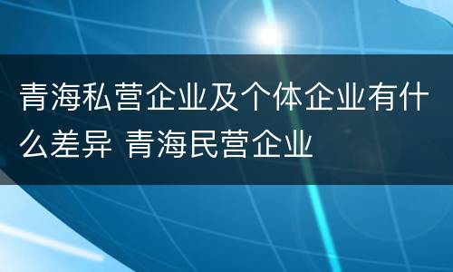 青海私营企业及个体企业有什么差异 青海民营企业