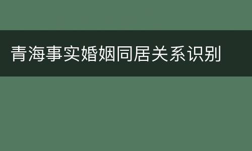 青海事实婚姻同居关系识别