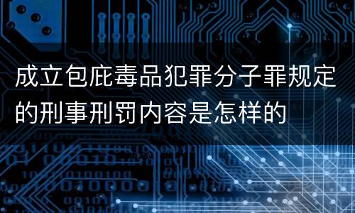 成立包庇毒品犯罪分子罪规定的刑事刑罚内容是怎样的