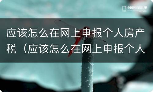 应该怎么在网上申报个人房产税（应该怎么在网上申报个人房产税流程）