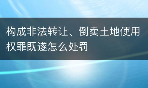 构成非法转让、倒卖土地使用权罪既遂怎么处罚