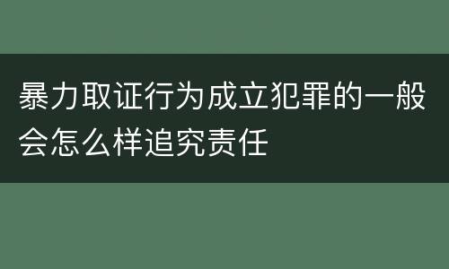 暴力取证行为成立犯罪的一般会怎么样追究责任