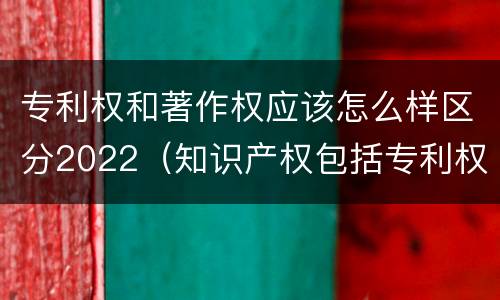 专利权和著作权应该怎么样区分2022（知识产权包括专利权和著作权吗）