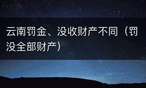 云南罚金、没收财产不同（罚没全部财产）