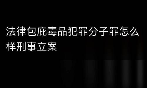 法律包庇毒品犯罪分子罪怎么样刑事立案