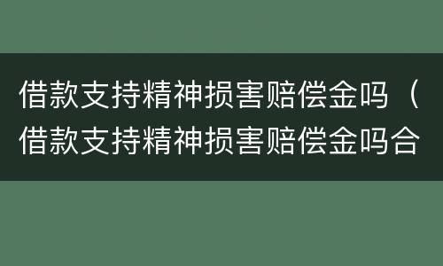 借款支持精神损害赔偿金吗（借款支持精神损害赔偿金吗合法吗）