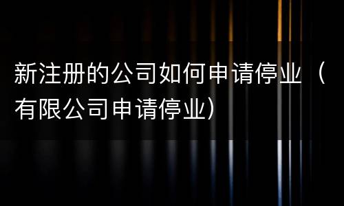 新注册的公司如何申请停业（有限公司申请停业）