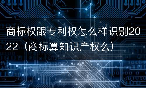 商标权跟专利权怎么样识别2022（商标算知识产权么）