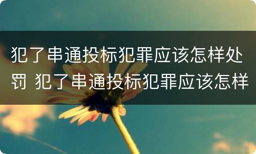 犯了串通投标犯罪应该怎样处罚 犯了串通投标犯罪应该怎样处罚呢