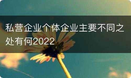 私营企业个体企业主要不同之处有何2022