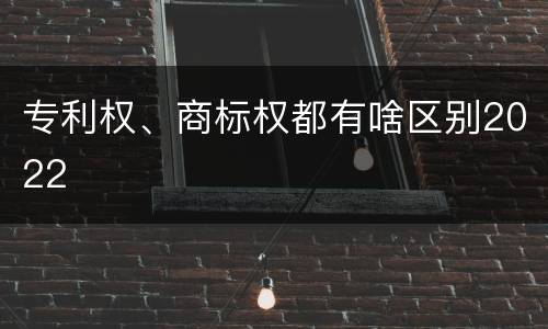 专利权、商标权都有啥区别2022