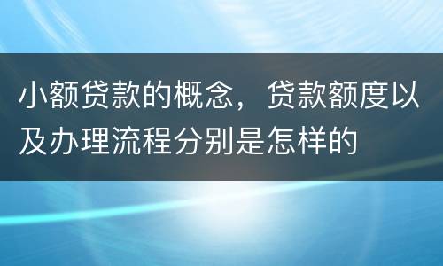 小额贷款的概念，贷款额度以及办理流程分别是怎样的