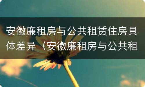 安徽廉租房与公共租赁住房具体差异（安徽廉租房与公共租赁住房具体差异在哪）