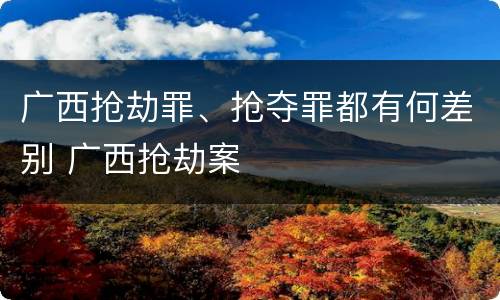 广西抢劫罪、抢夺罪都有何差别 广西抢劫案