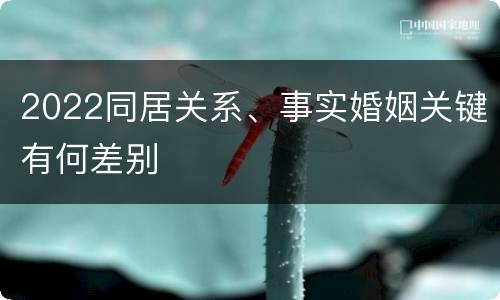 2022同居关系、事实婚姻关键有何差别