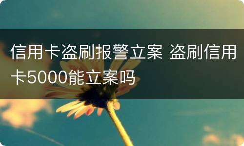 信用卡盗刷报警立案 盗刷信用卡5000能立案吗