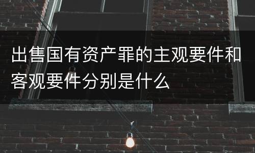 出售国有资产罪的主观要件和客观要件分别是什么