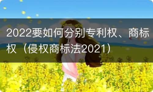 2022要如何分别专利权、商标权（侵权商标法2021）