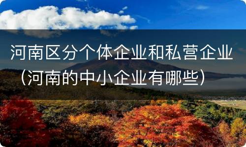 河南区分个体企业和私营企业（河南的中小企业有哪些）