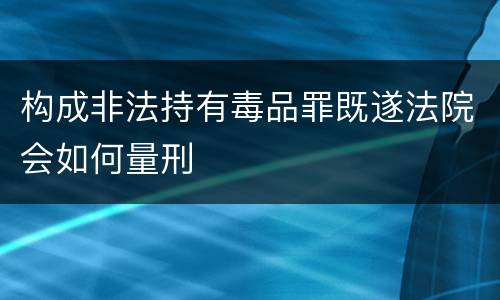 构成非法持有毒品罪既遂法院会如何量刑