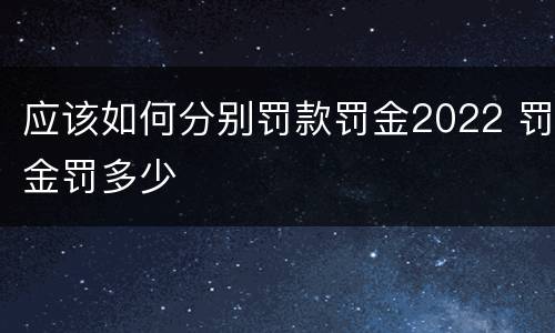 应该如何分别罚款罚金2022 罚金罚多少