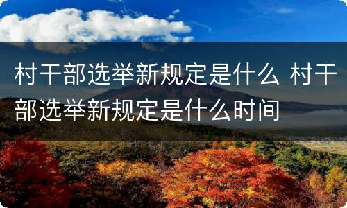 村干部选举新规定是什么 村干部选举新规定是什么时间